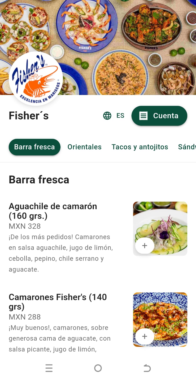 QRapido Menú Tradicional